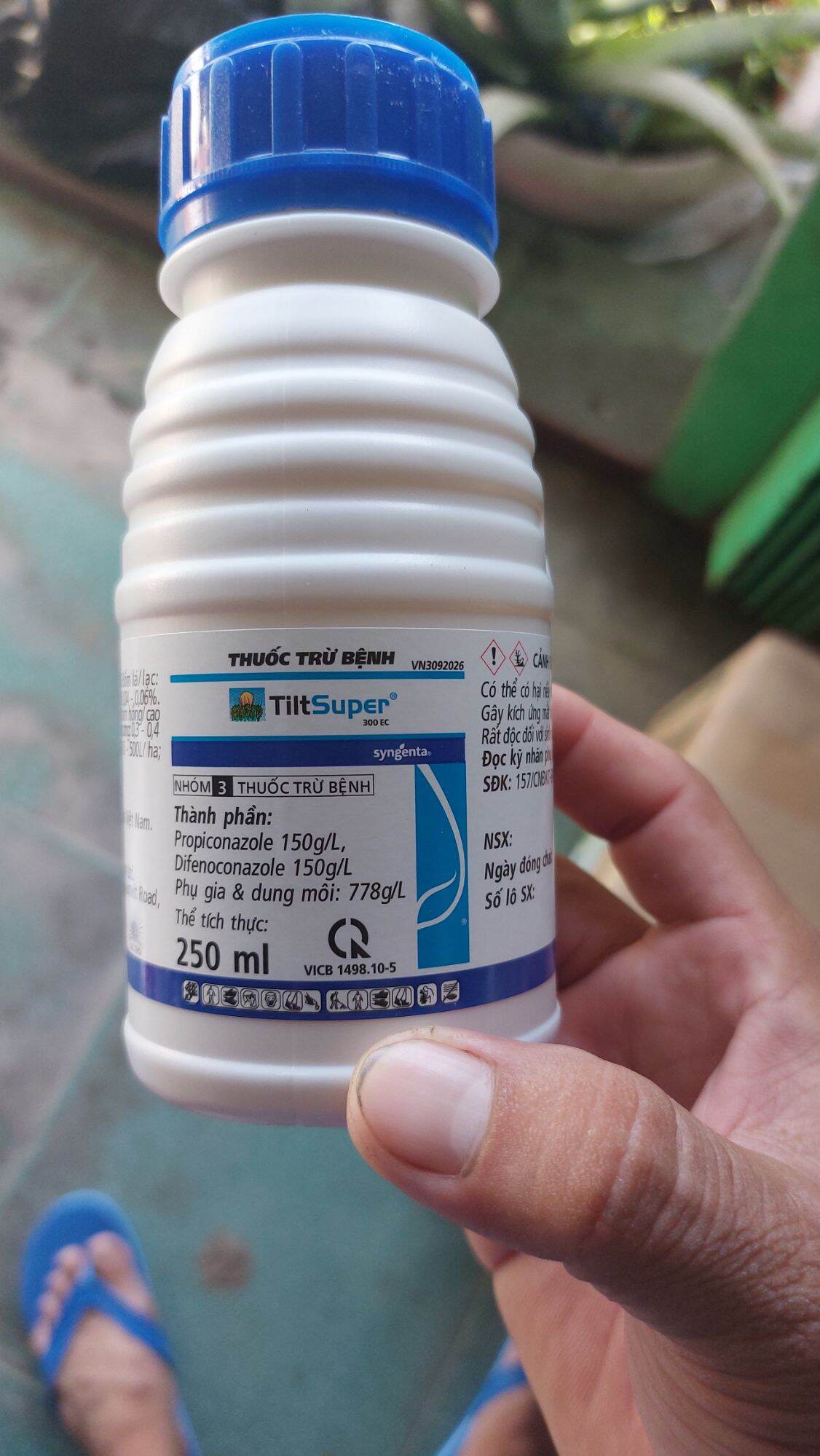 Thuốc trừ bệnh tilt super 300ec 250ml