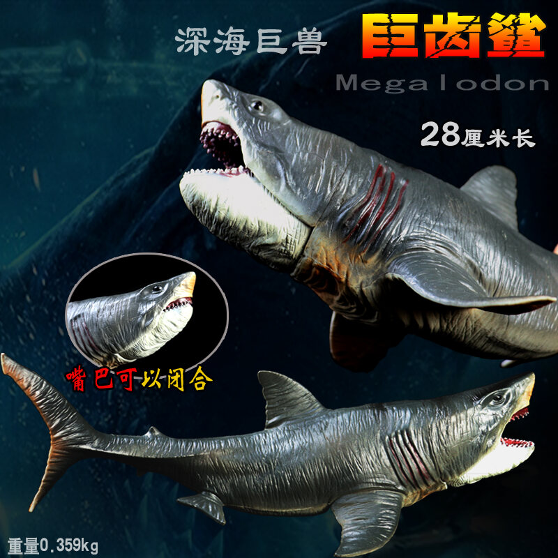 Mô Hình Cá Mập Trắng Ăn Thịt Người Cá Mập Răng Khổng Lồ Cỡ Lớn Mô Phỏng Cự  Thú Thời Tiền Đồ Chơi Quà Tặng Trẻ Em Động Vật Quái Thú Biển