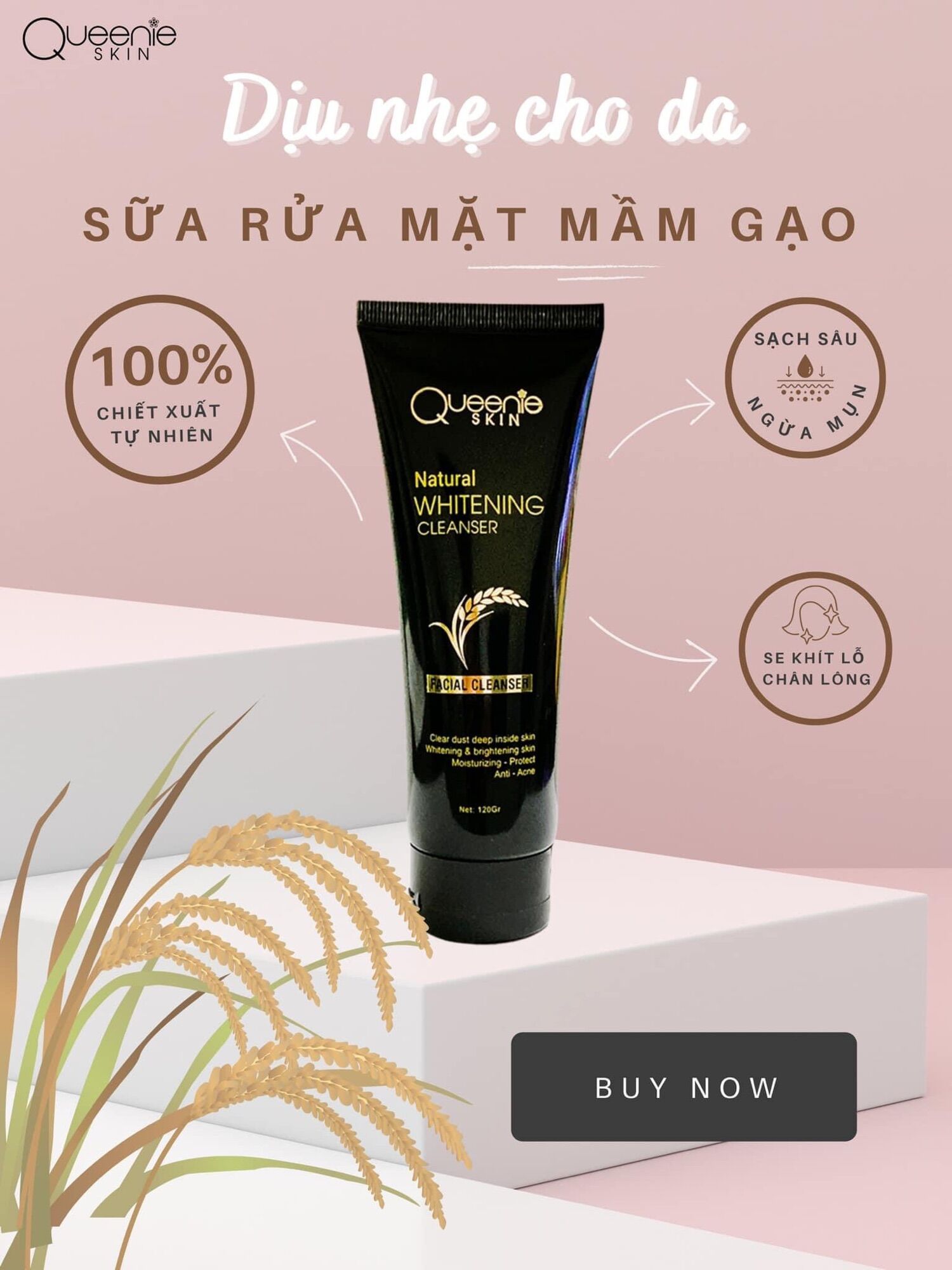 Sữa rửa mặt mầm gạo
