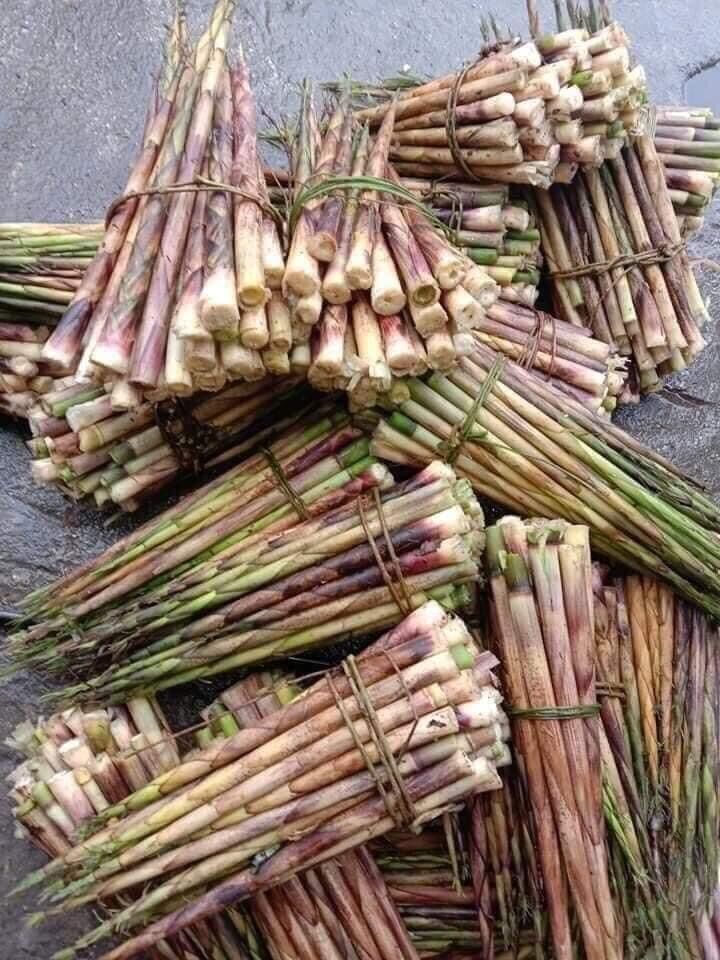 Măng trúc muối 100k/lọ 1,5kg