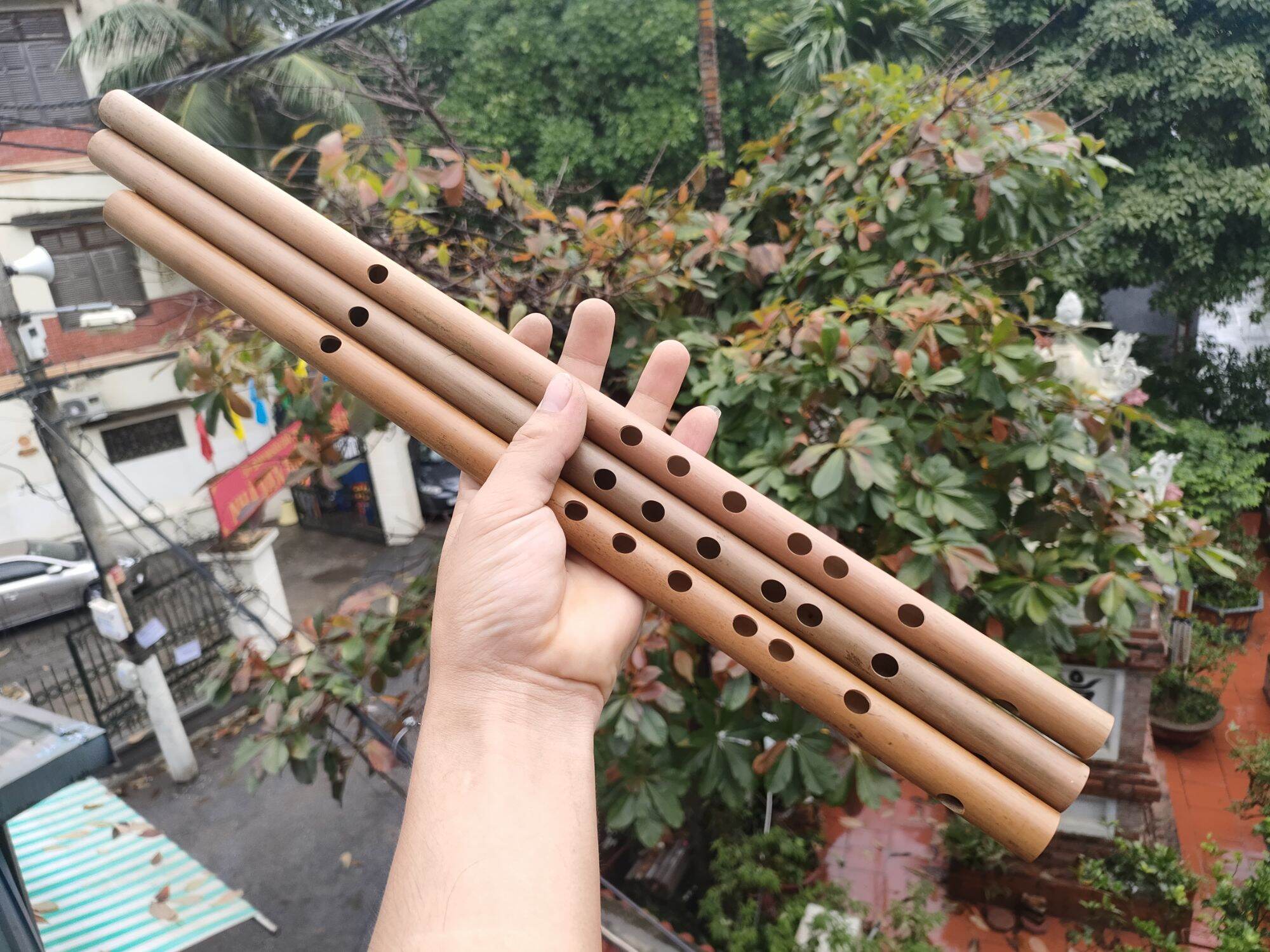 Sáo trúc đô c5 nứa bắc chuẩn âm