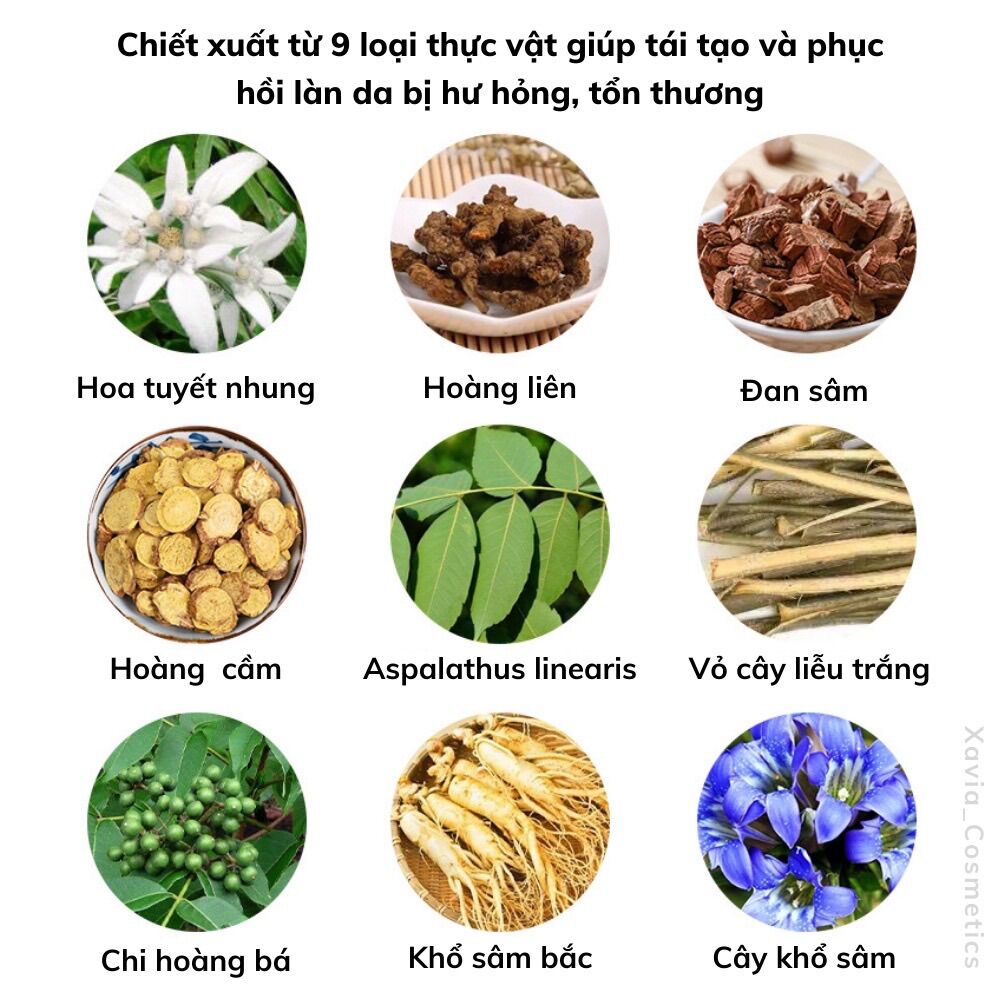 Kem chấm mụn ZHX