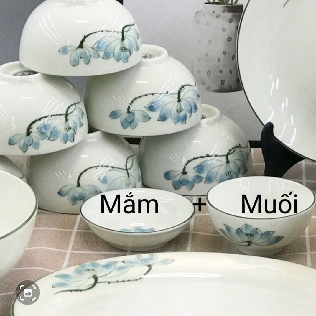 Bán lẻ bát đĩa vẽ hoa sen.Hàng sứ Bát Tràng.