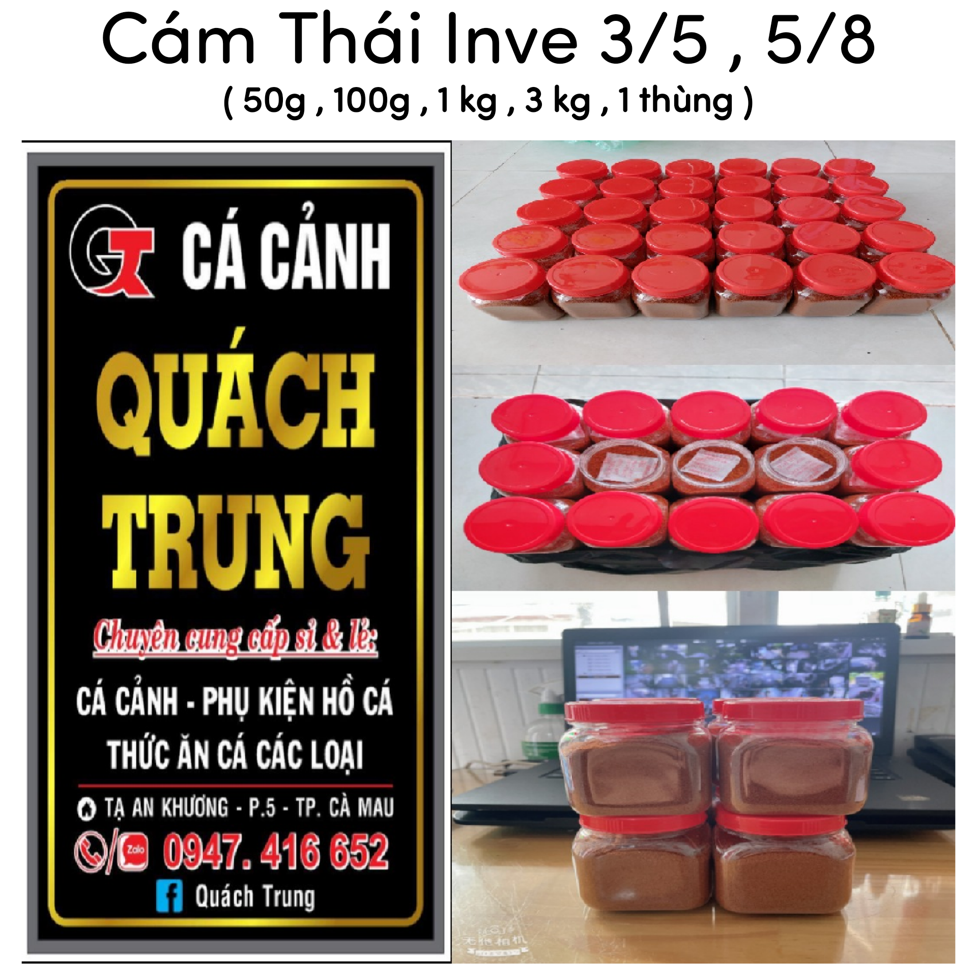 Cám thái inve 5/8 - hủ 50g