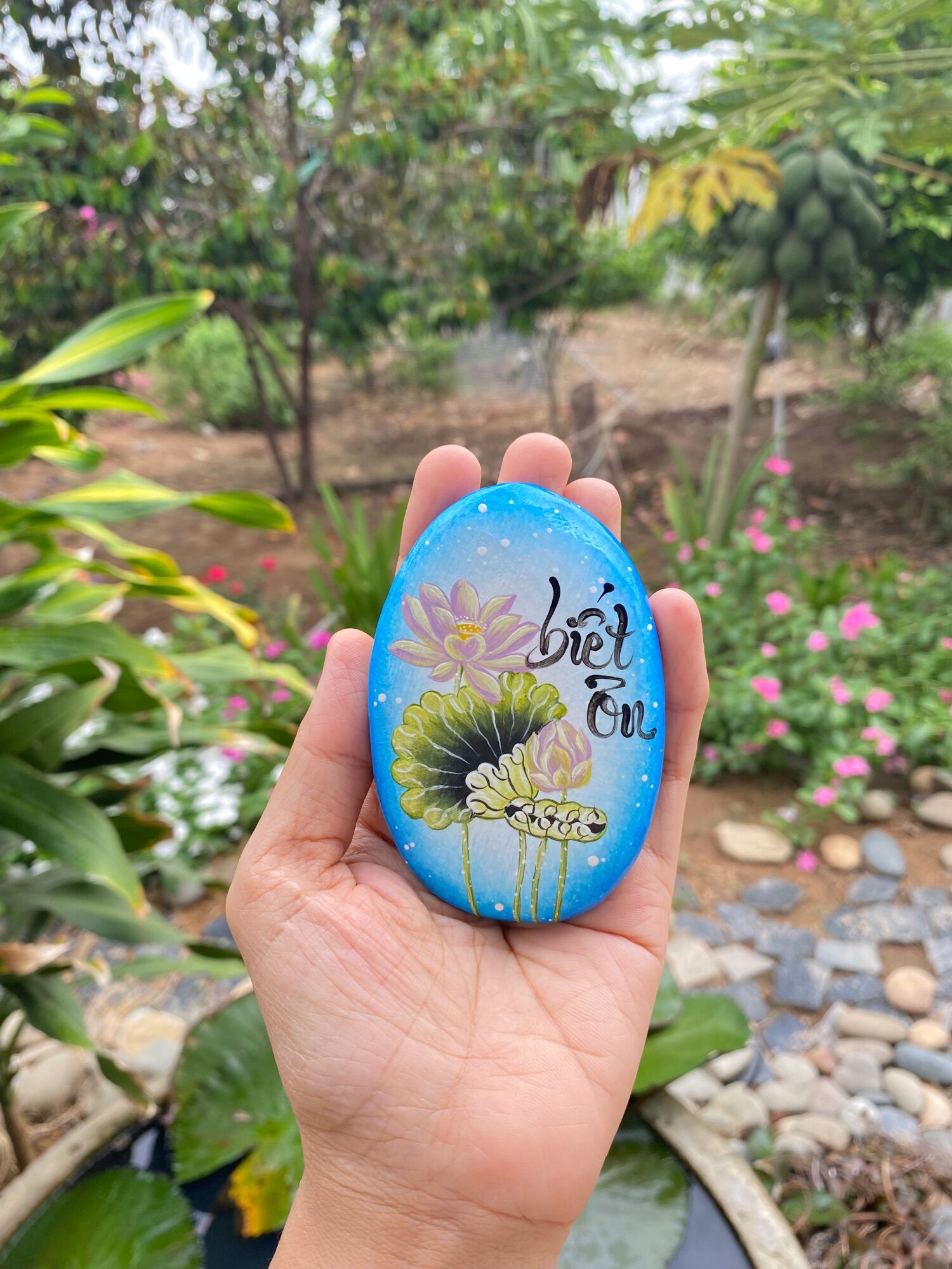 Hòn đá biết ơn mẫu hoa sen