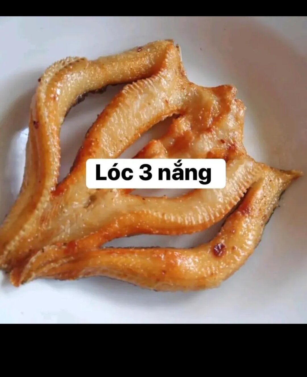 KHÔ CÁ LÓC 500gr loại 10_12c kg