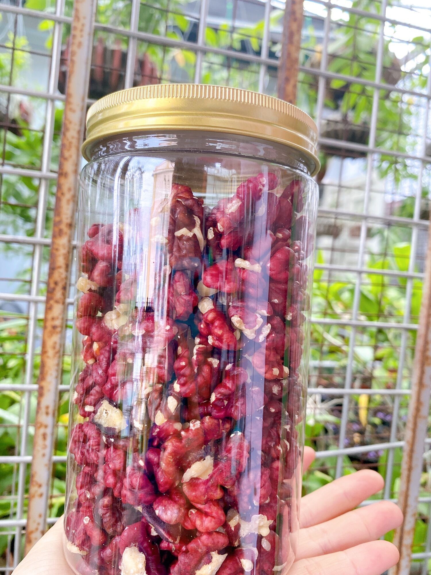 Óc chó đỏ mỹ 500gr hạt chưa rang