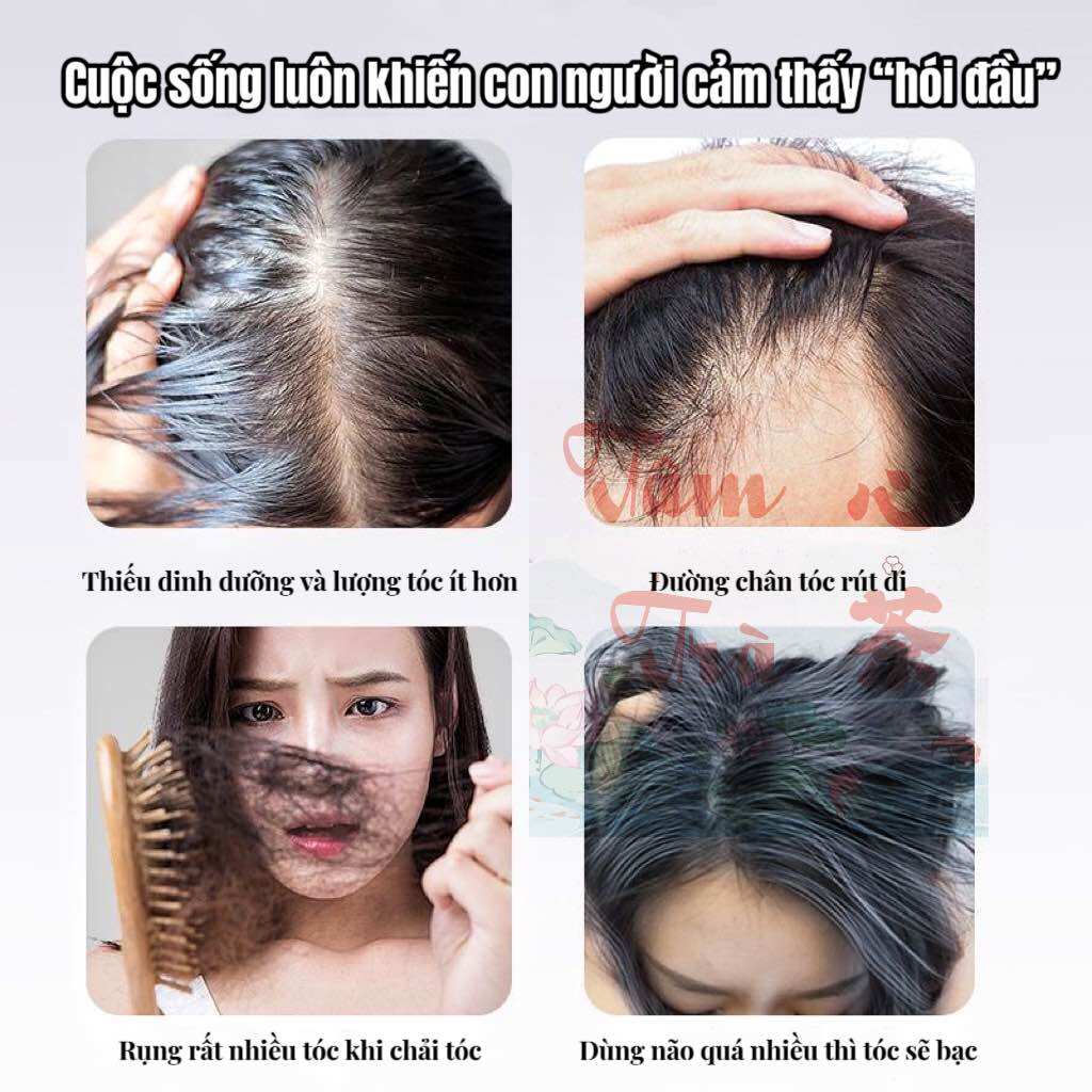 Ngũ Trà Đen - Cung cấp dinh dưỡng cho tóc ( Túi 50 gói )