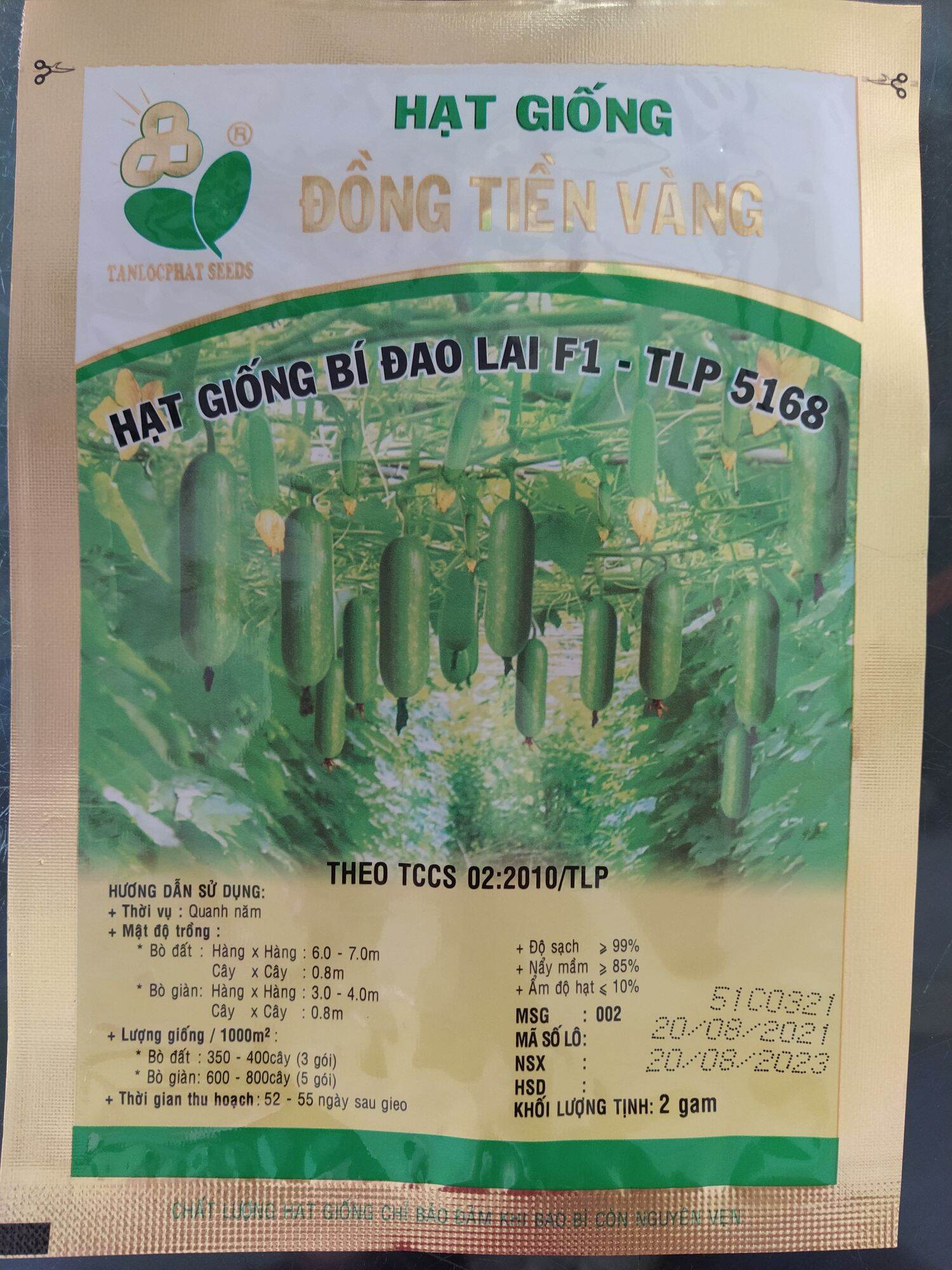 Hạt giống bí đao lai f1 5168 đồng tiền vàng