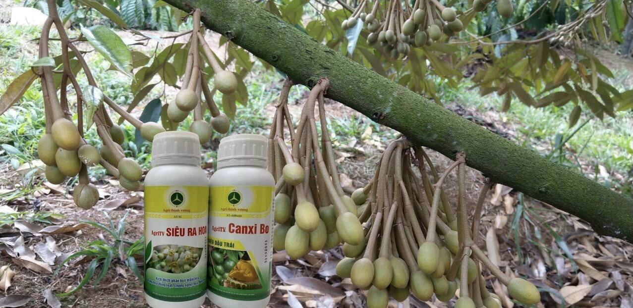 phân bón kích hoa Siêu Ra Hoa 500ml