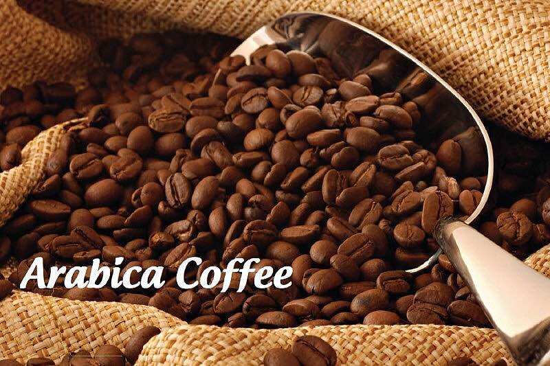 1Kg CAFE ARABICA RANG MỘC