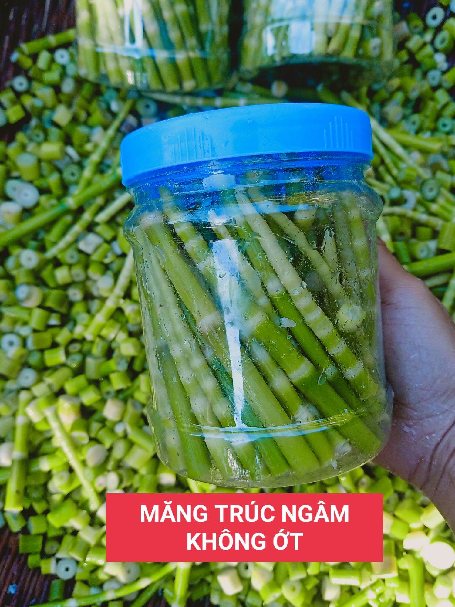 Măng trúc Yên Bái ngâm siêu ngon không ớt hộp 650g