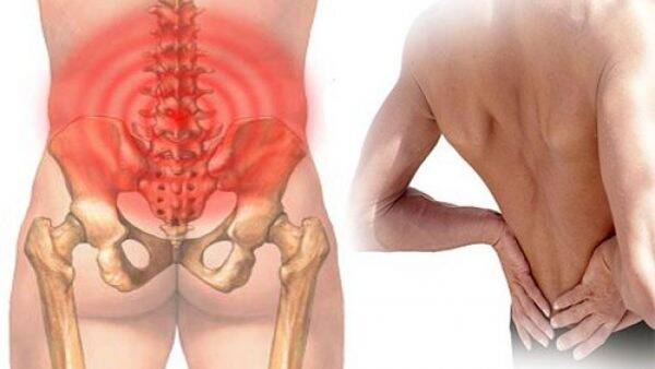 dầu mãnh hổ sả phẩm của công ty vitophar