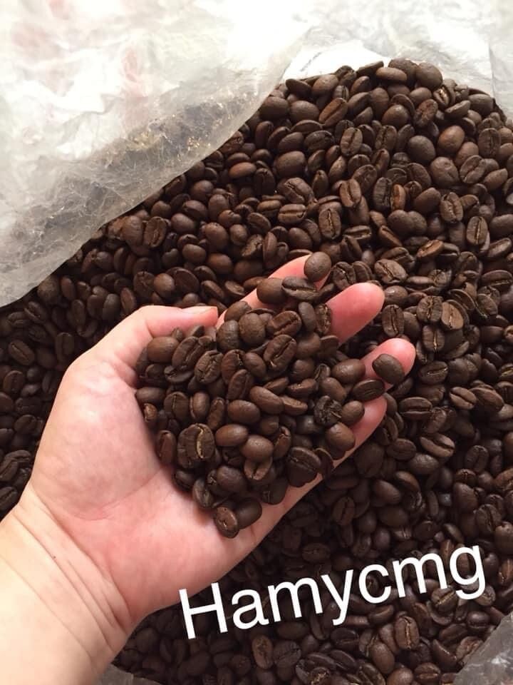 Cà phê Robusta rang mộc nguyên chất, đậm đà, chocolate, caramel - DAMREY COFFEE