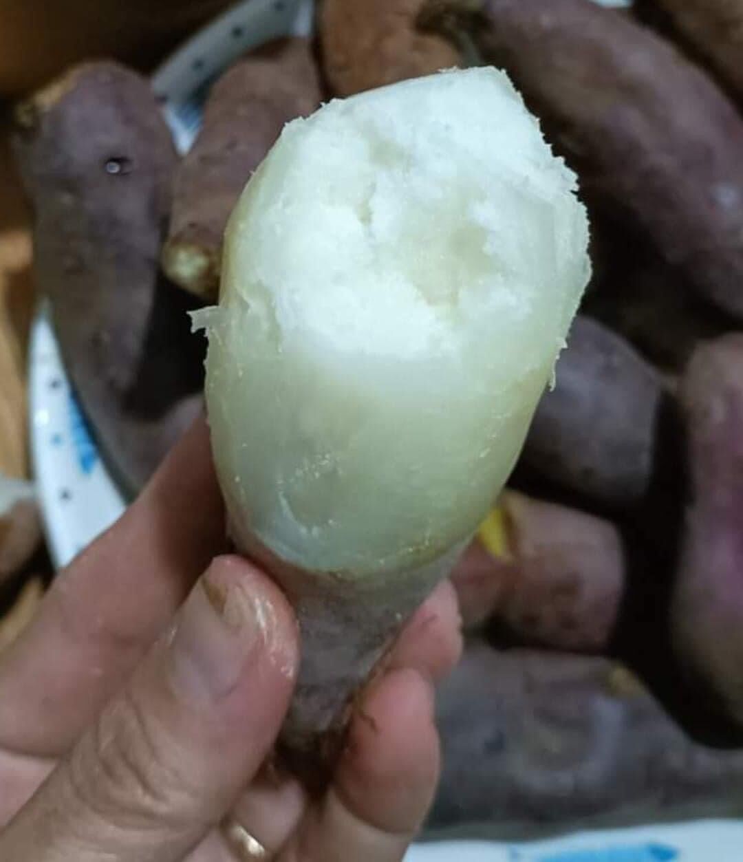 Combo 3kg Khoai Lang Campuchia (Khoai lang hồng đào)