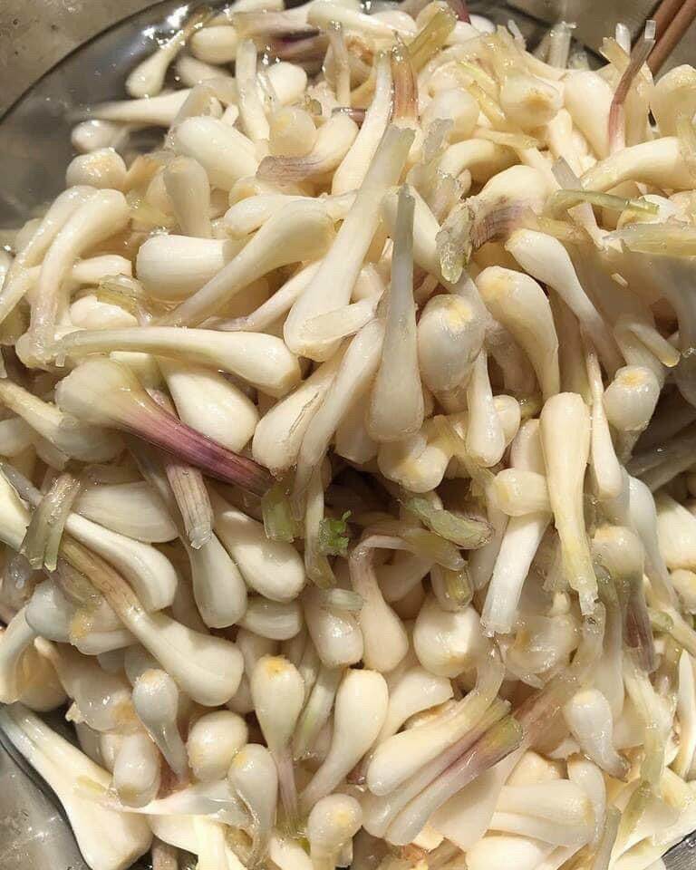 Củ kiệu nhà làm 500g không cân nước