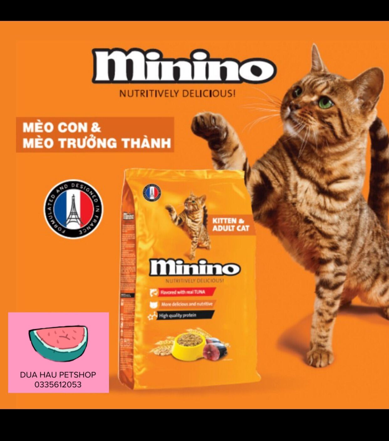 Thức ăn hạt cho mèo mọi lứa tuổi 1.3kg Minino