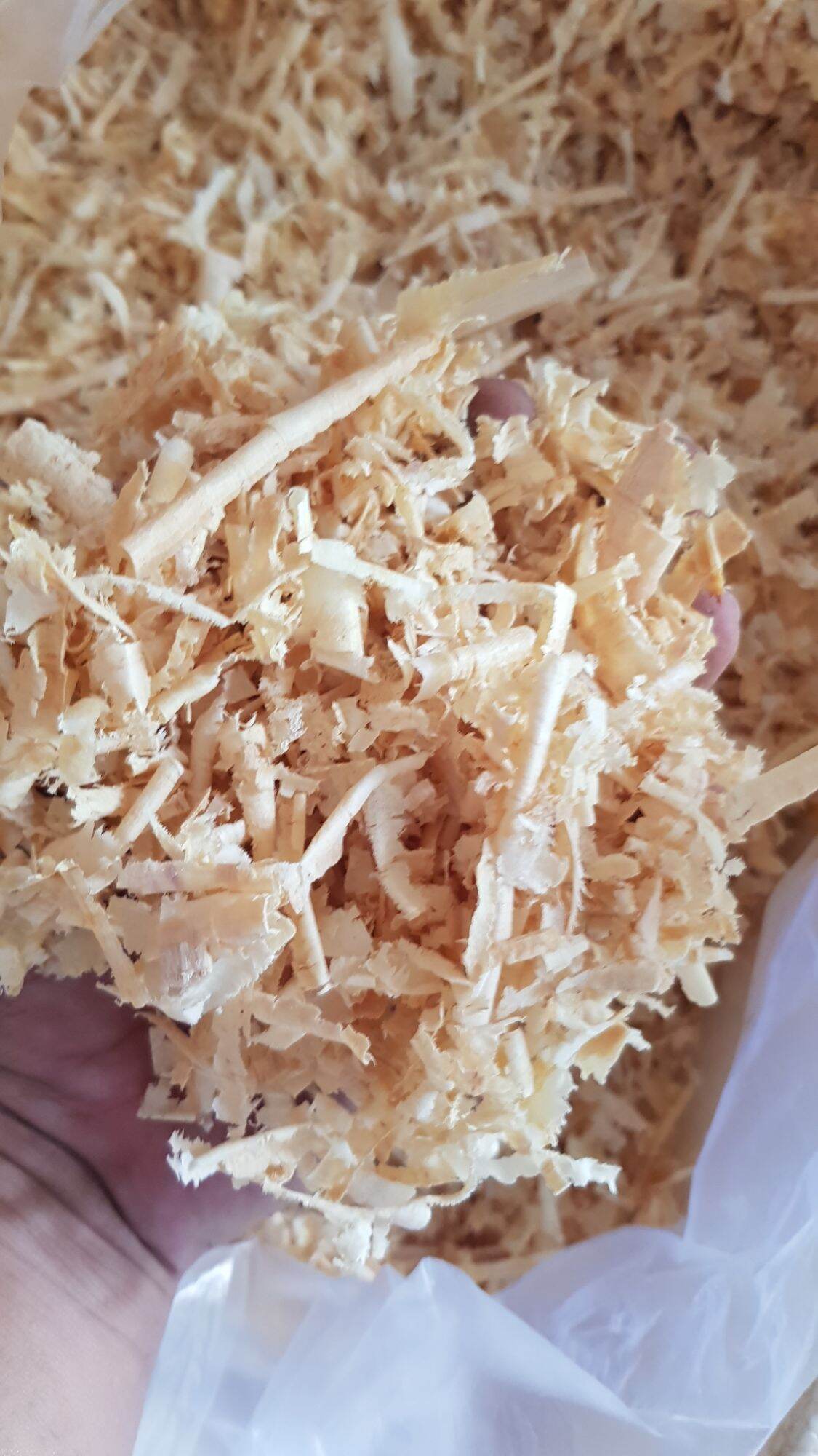 Dăm bào hút ẩm cho vẹt, sóc, hamster gói 200g