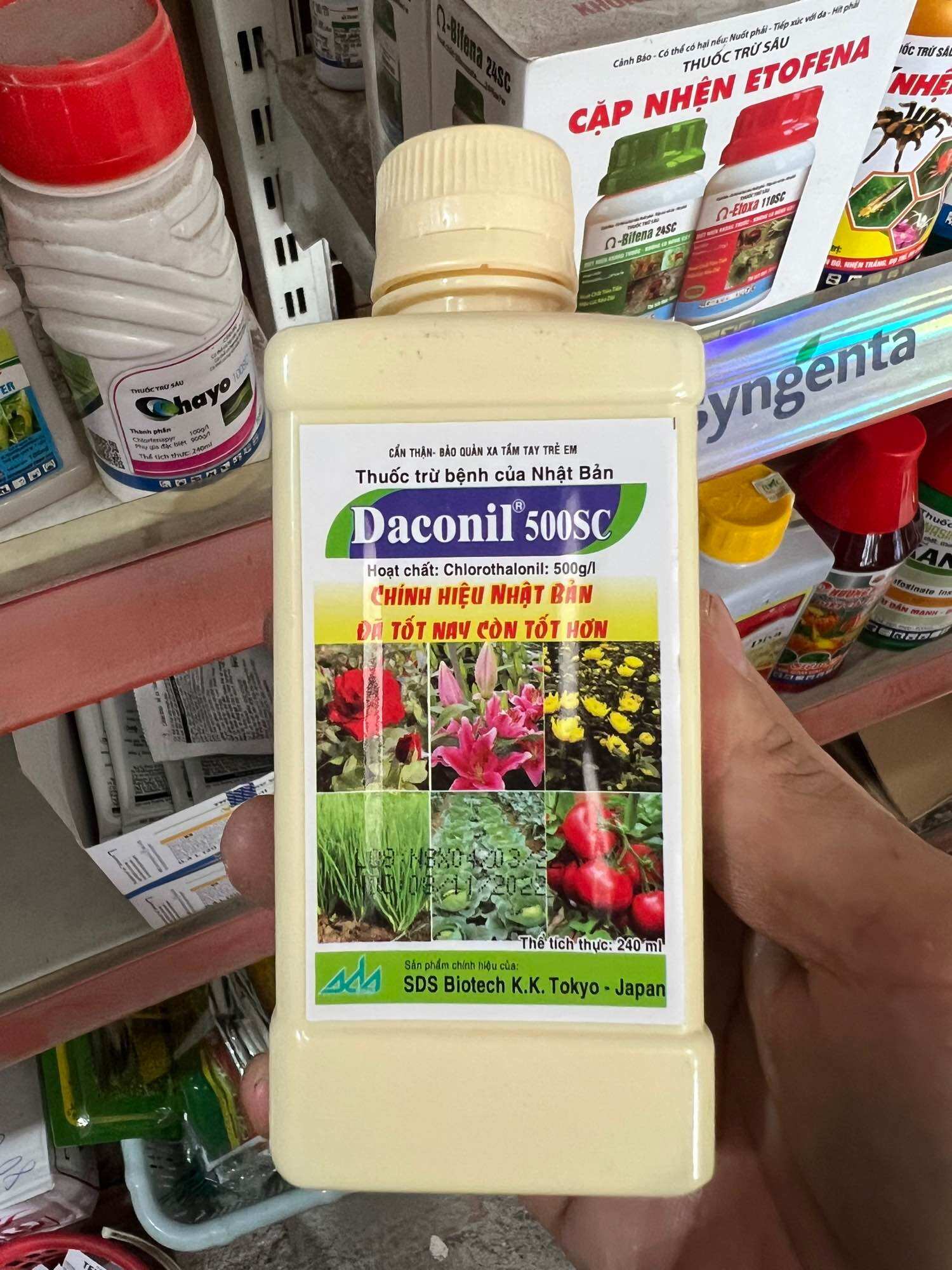 Thuốc trừ nấm bệnh DACONIL 500SC Nhật Bản (100ml - 240ml) - Đặc trừ thán thư, sương mai, phấn trắng hoa hồng & cây trồng