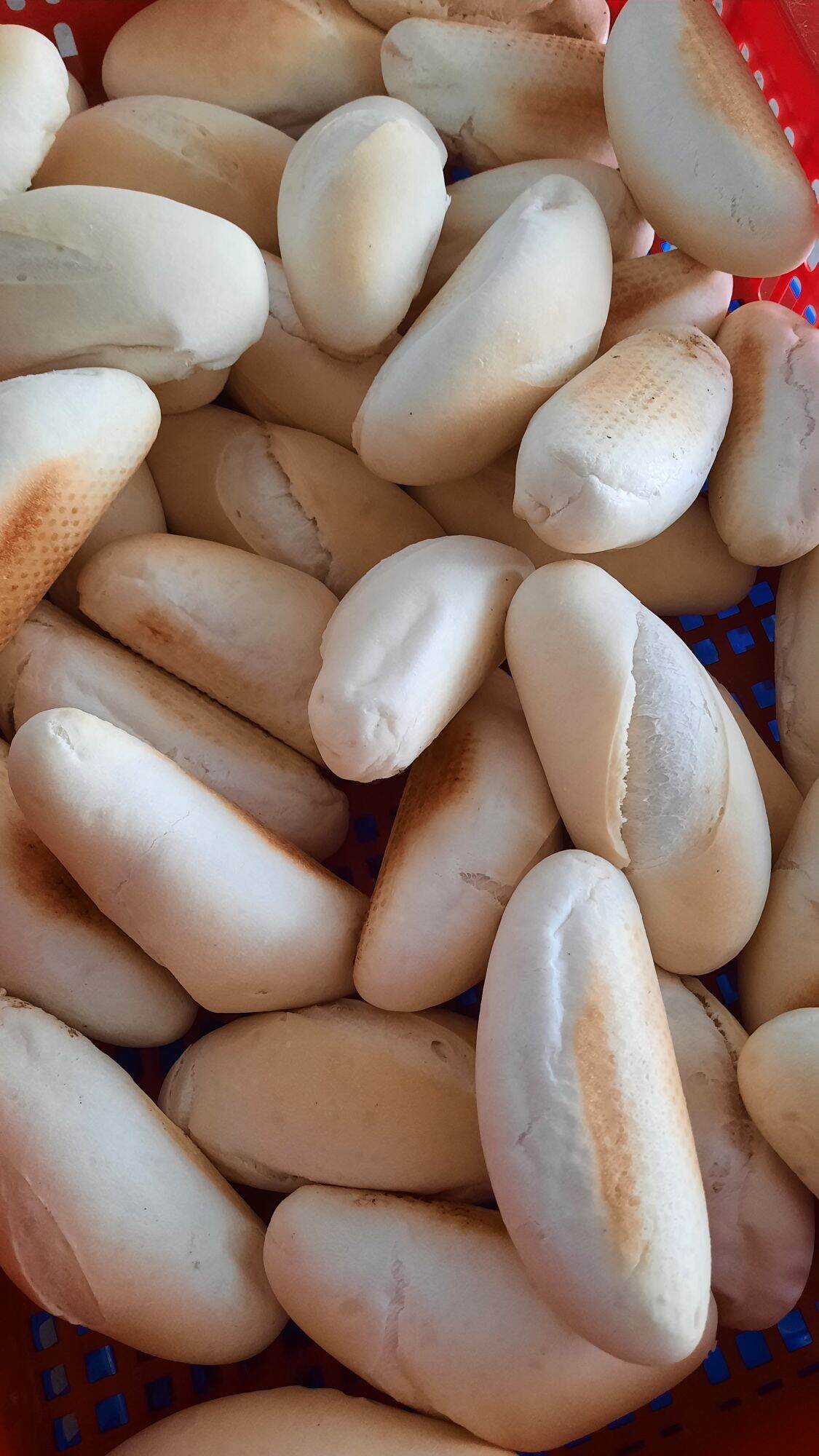 Bánh mì tươi đặc ruột cấp đông