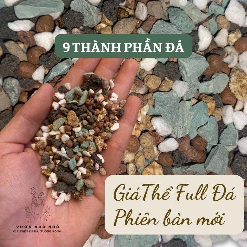 Giá thể full đá Phiên Bản Mới 9 thành phần, Đất trồng sen đá, xương rồng, lithops, mọng nước, đã được trộn sẵn.