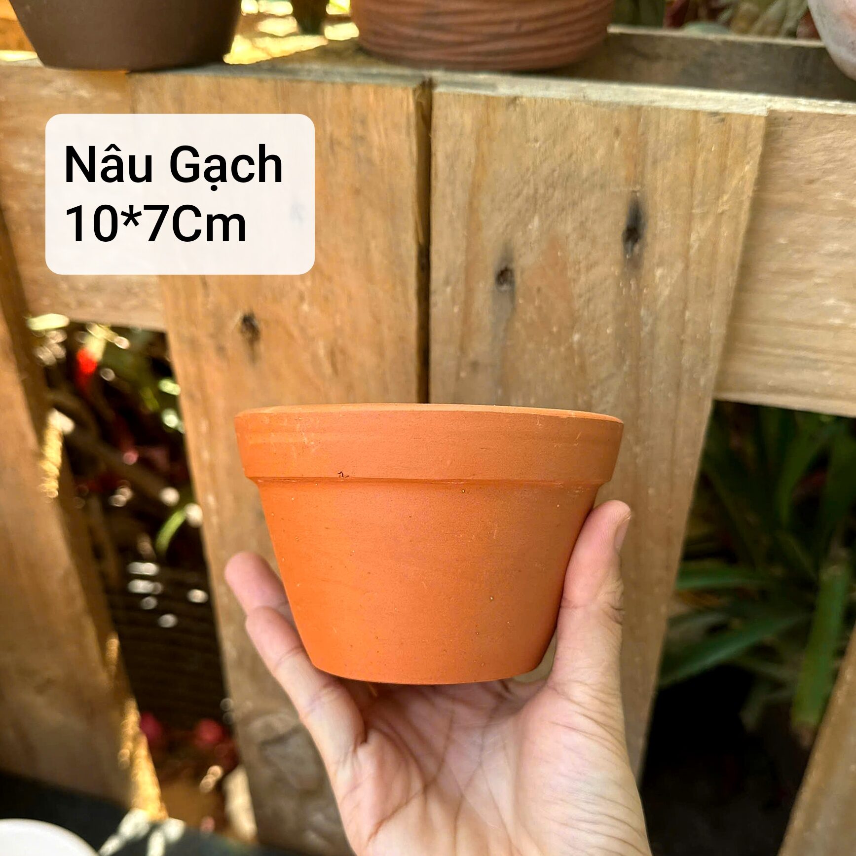 [Bao Bể Vỡ] Combo 5 Chậu Đất Nung Trồng Sen Đá Size 10 x7 cm