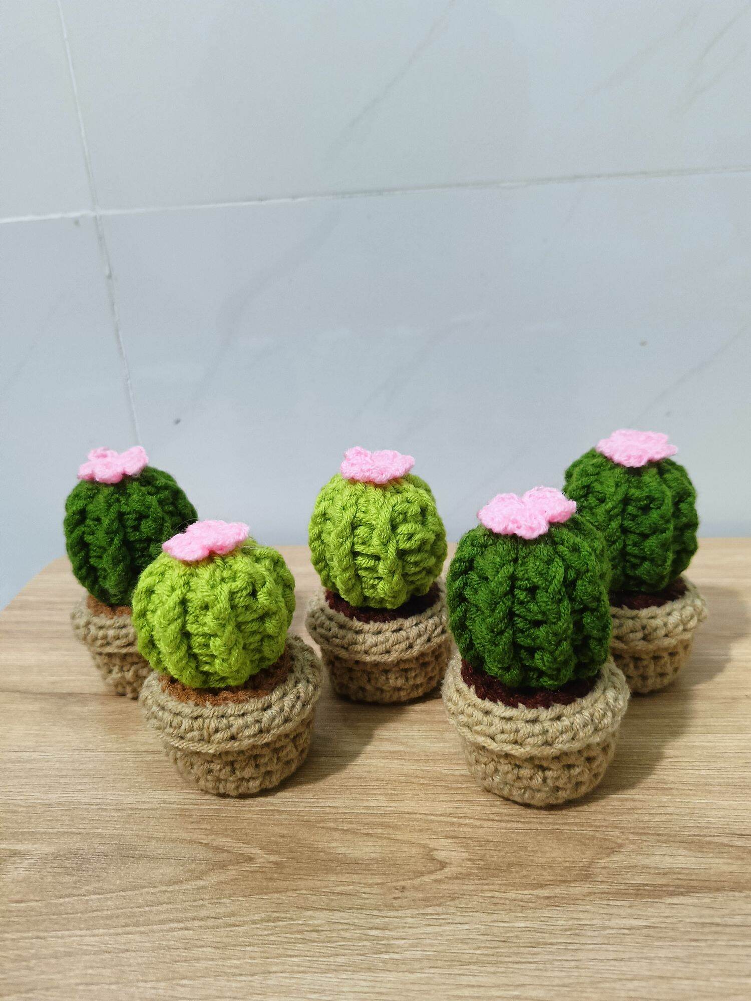 Chậu hoa mini xinh xắn