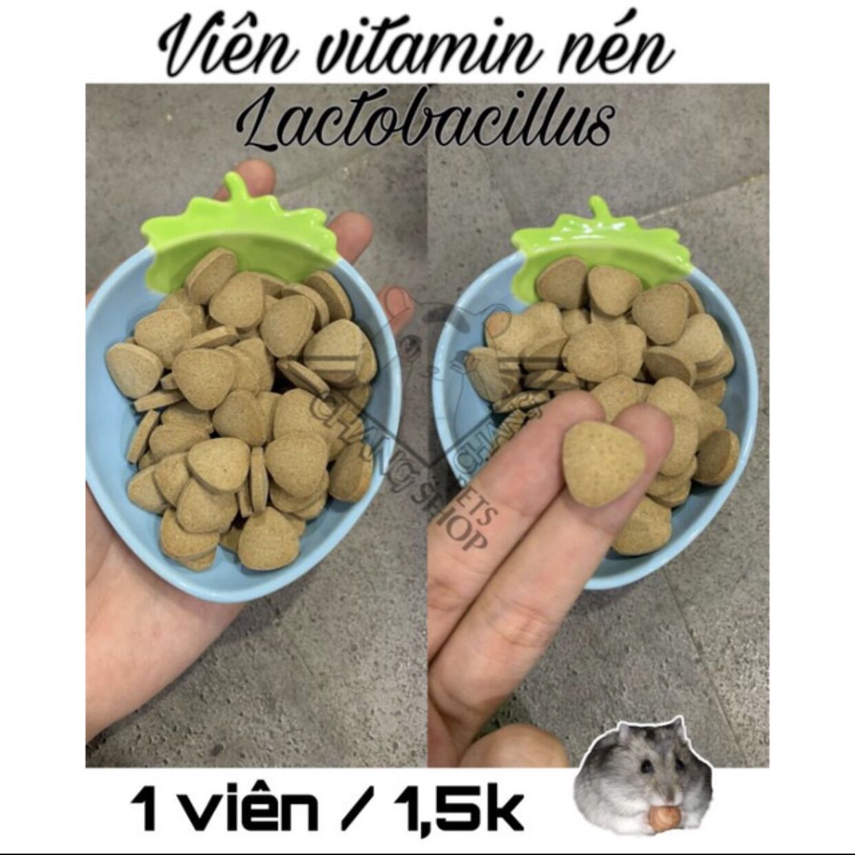 4 viên vitamin nén Lactobacillus dành cho hamster