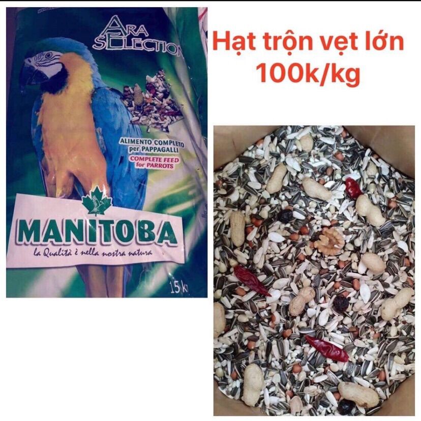 [HCM]Hạt trộn macaw  vẹt lớn 500g .