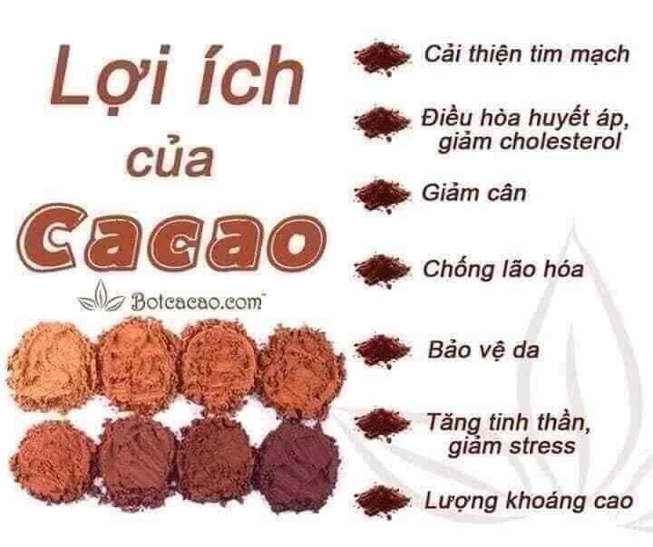 Ca cao
