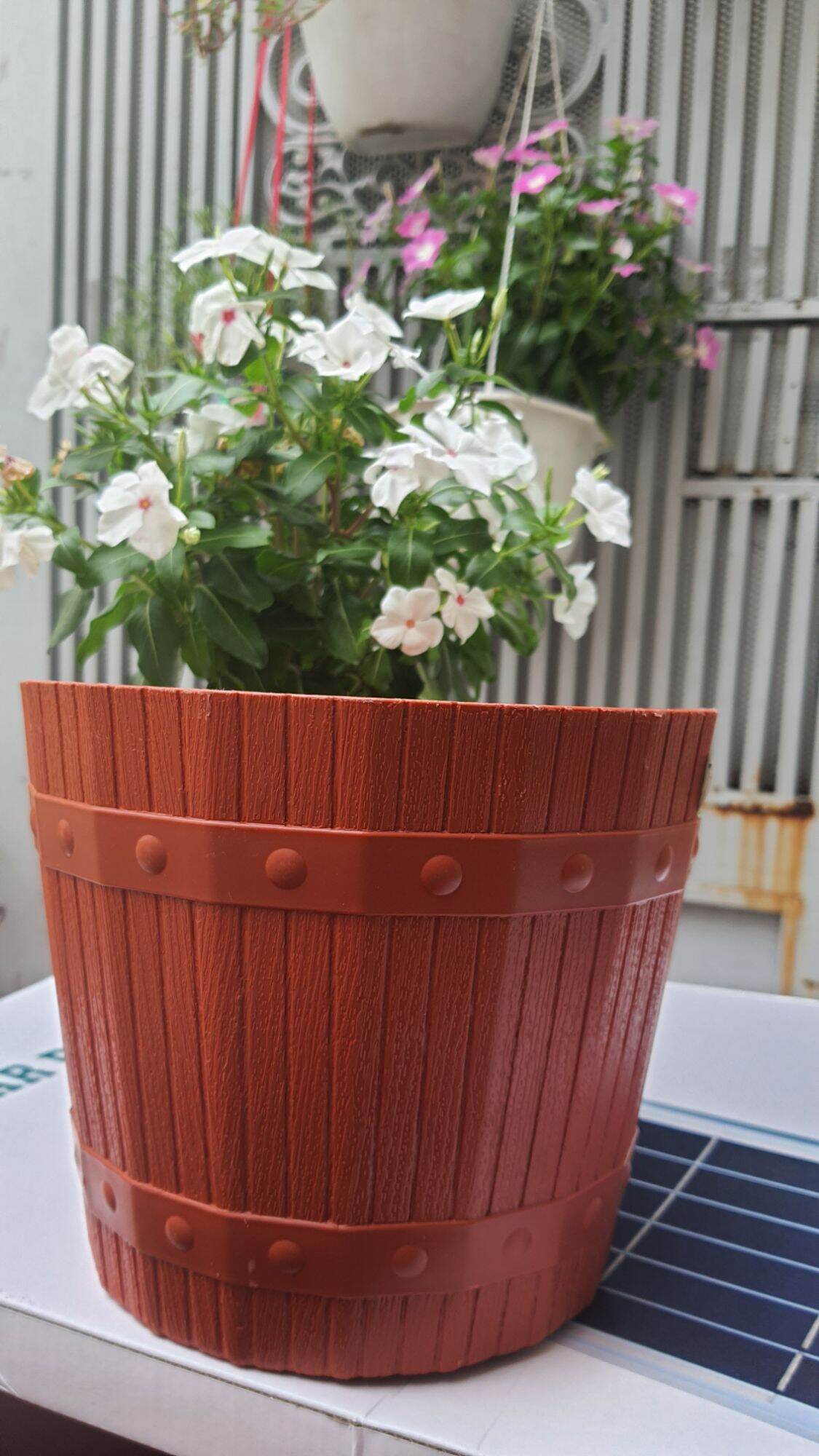 combo 5 chậu nhựa kiểu thùng gỗ đk 21cm