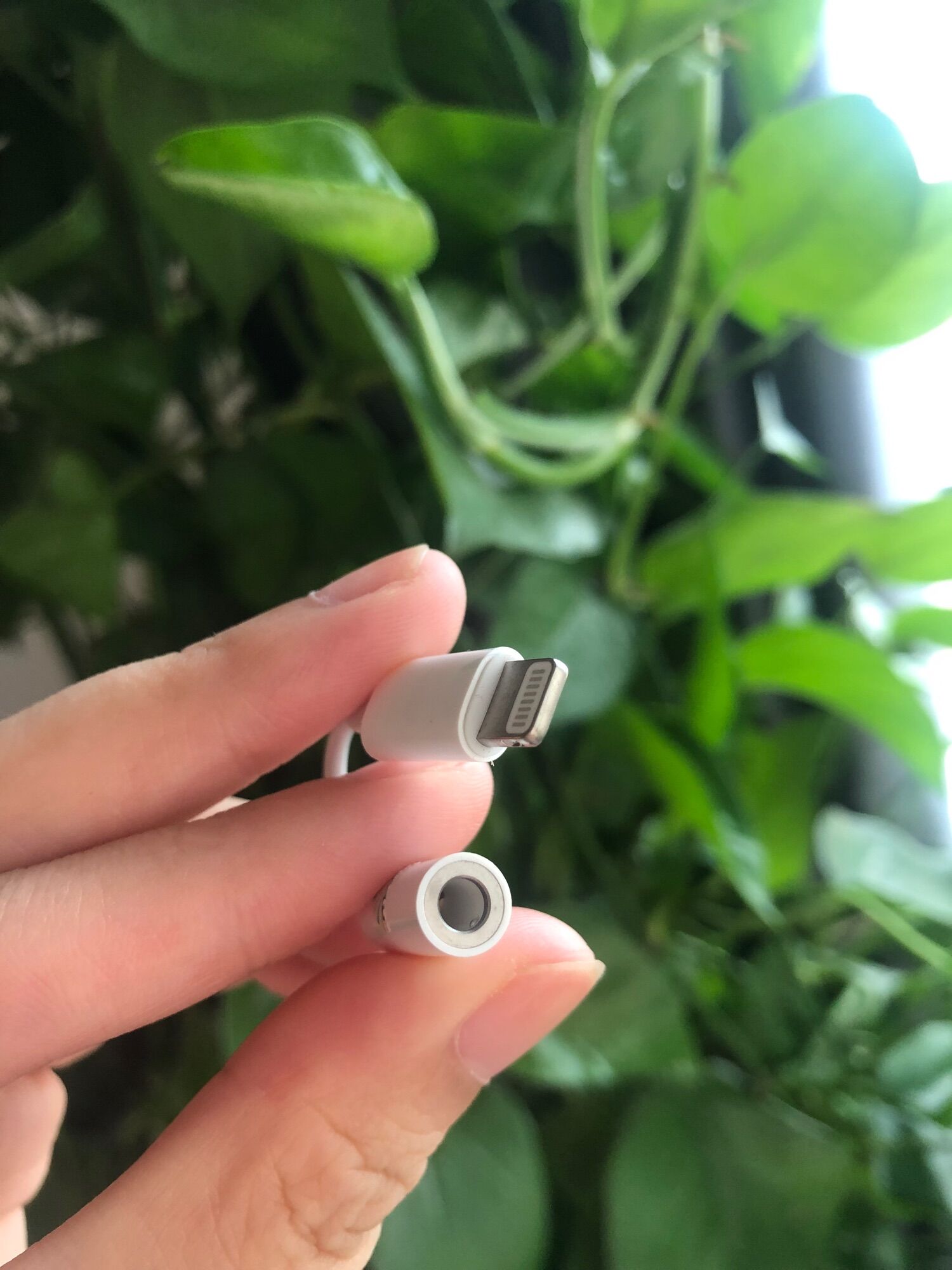 Jack chuyển cổng ligtning sang 3.5 dùng cho ip