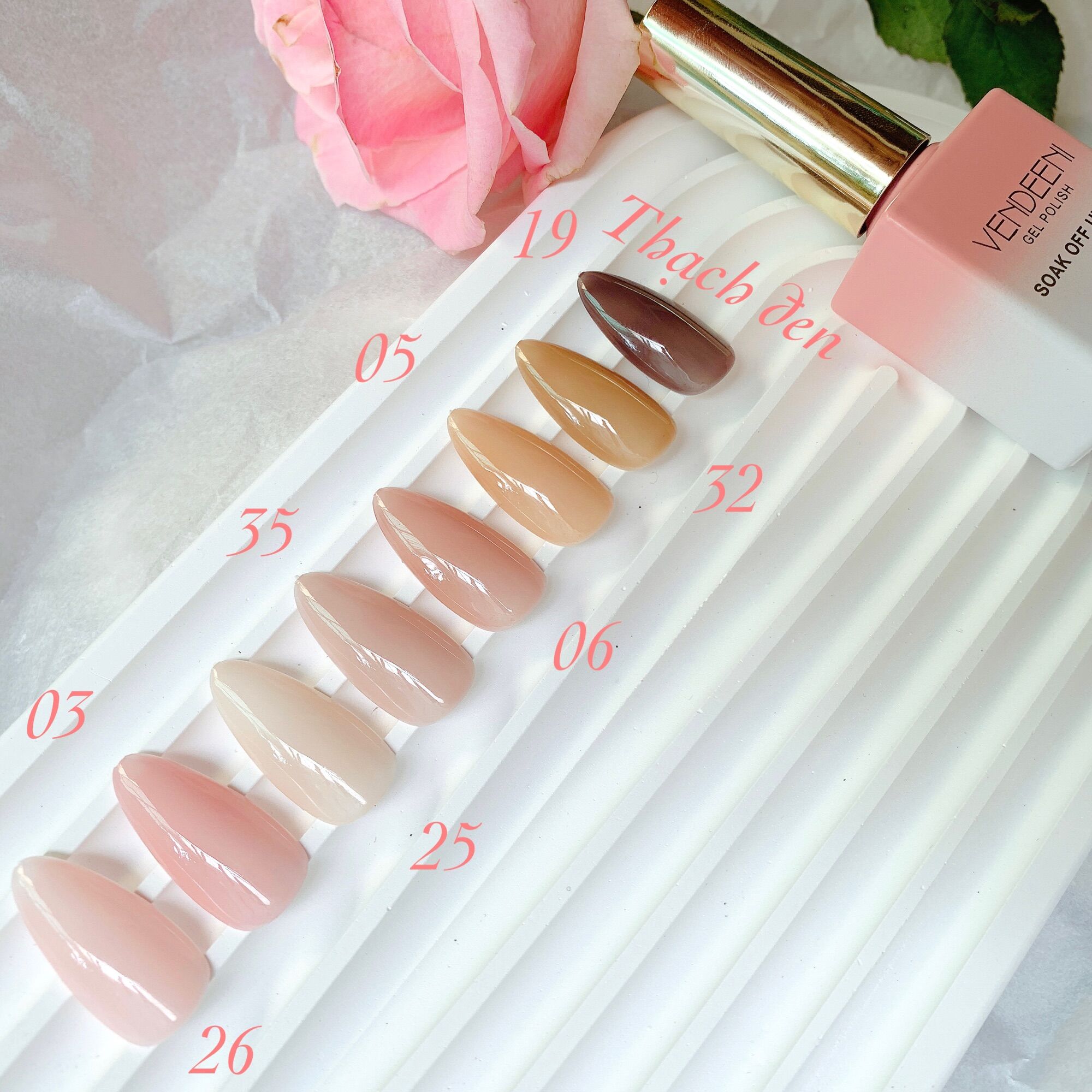 Sơn gel thạch nude Vendeeni 15ml