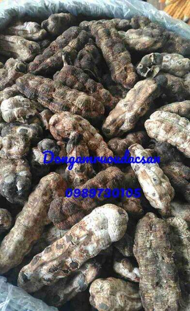 CHUỐI CÔ ĐƠN RỪNG KHÔ 1KG