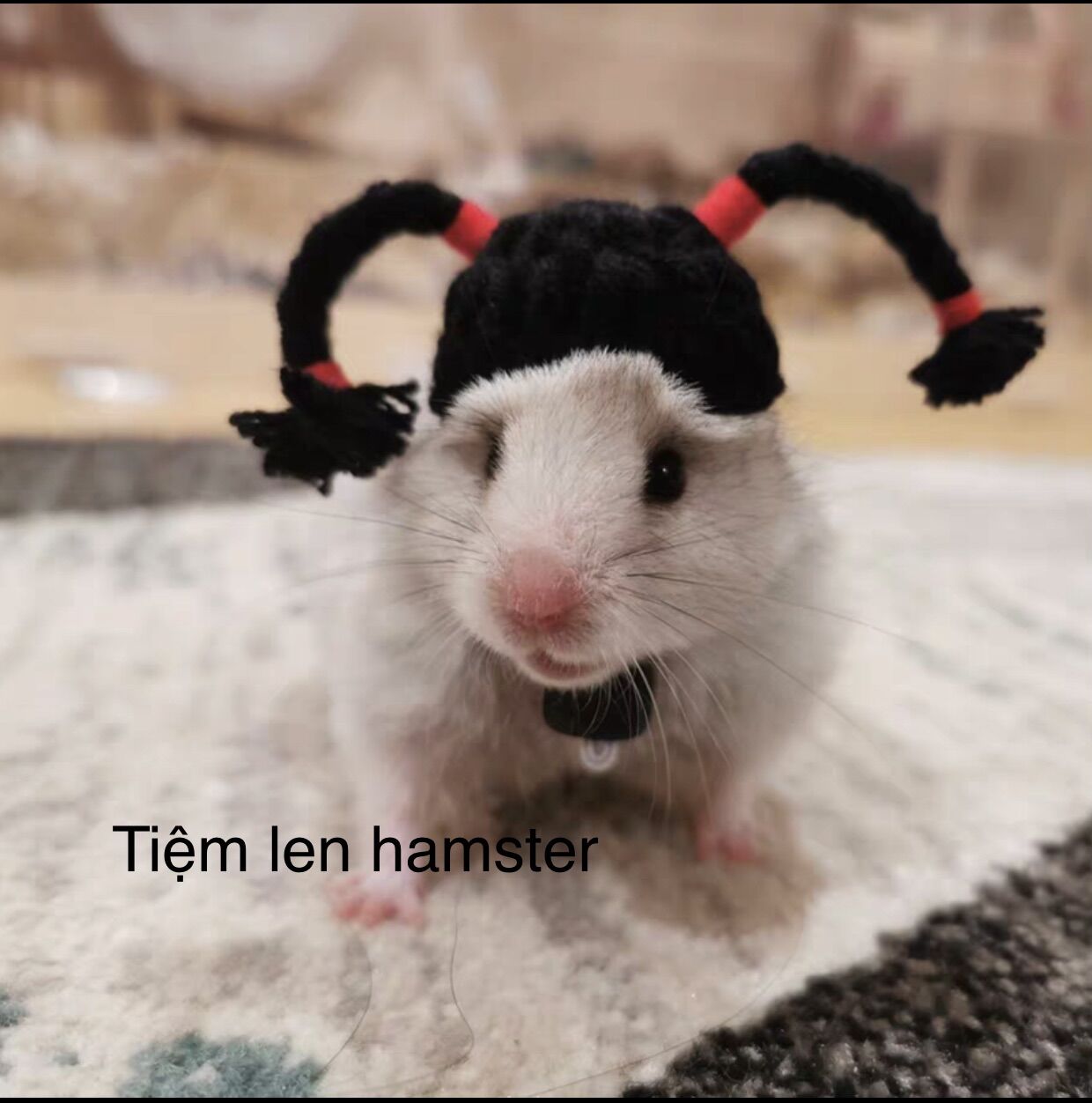 Nón mũ cho hamster tóc giả 2
