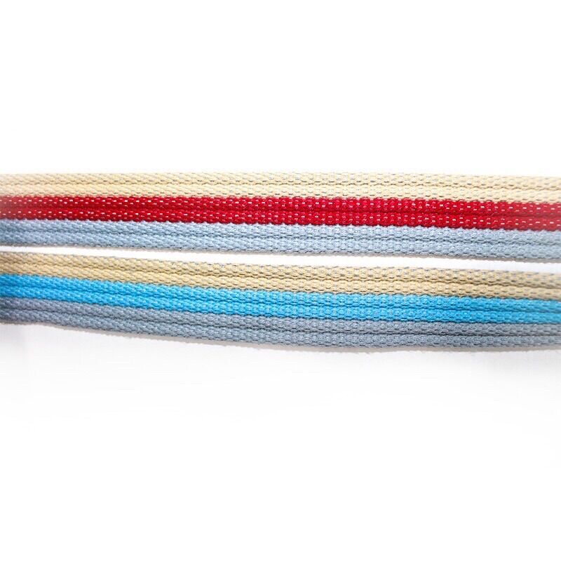 Parachute Leash with 1m7 Long Leash for Large Dogs