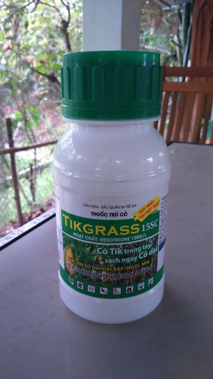 diệt cỏ trong cây ngô bắp.