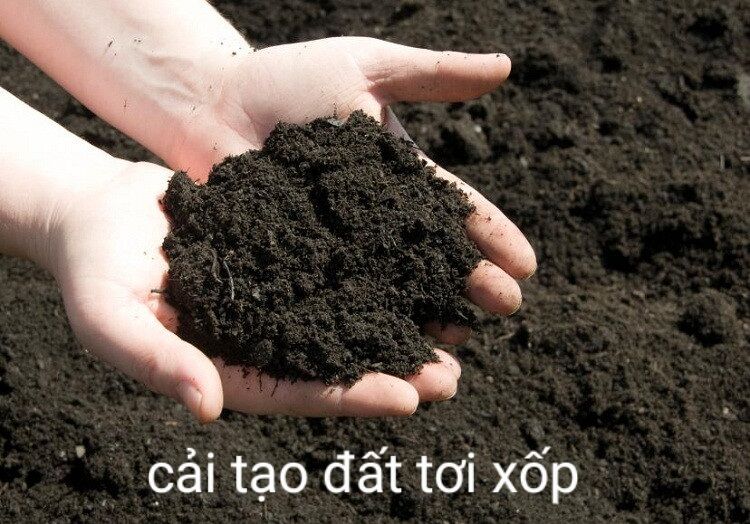 (combo 5 gói ) Humic USA (Phân Hữu Cơ Kích Thích Ra Rễ 1 Kg) dạng bột mịn tan hoàn toàn