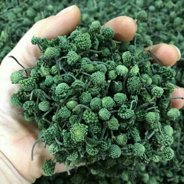 500g nụ tam thất bao tử