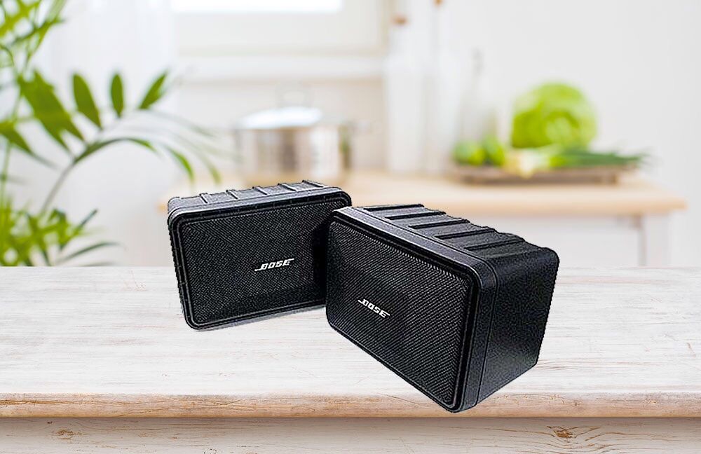 LOA BOS E 101-HÀNG CHUẨN -CÓ THÙNG DÙNG CHO SÂN VƯỜN,CAFE,SPA,TRỢ LỜI CHO KARAOKE