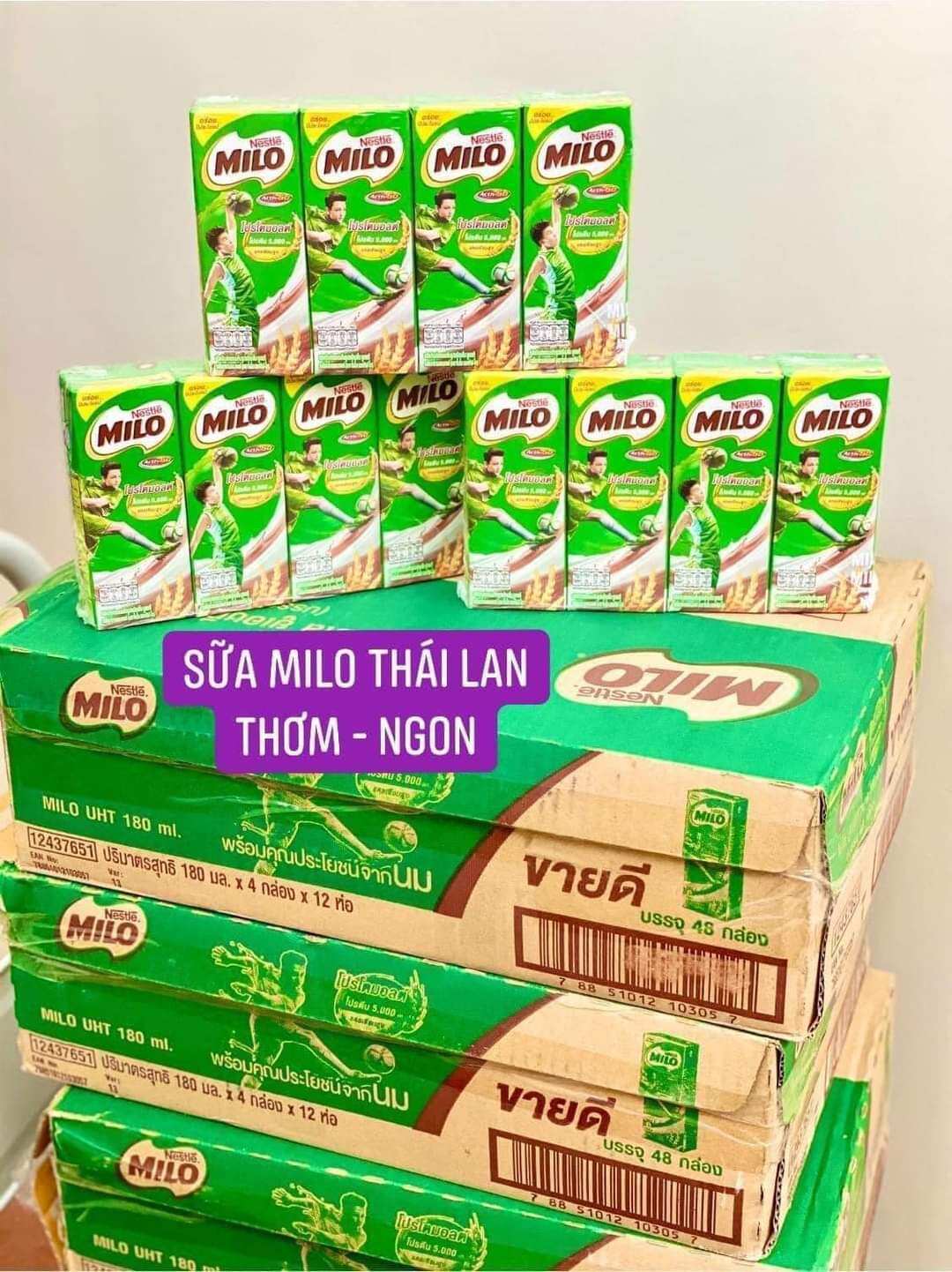 Sữa Milo Thái Lan 48 hộp (170ml)