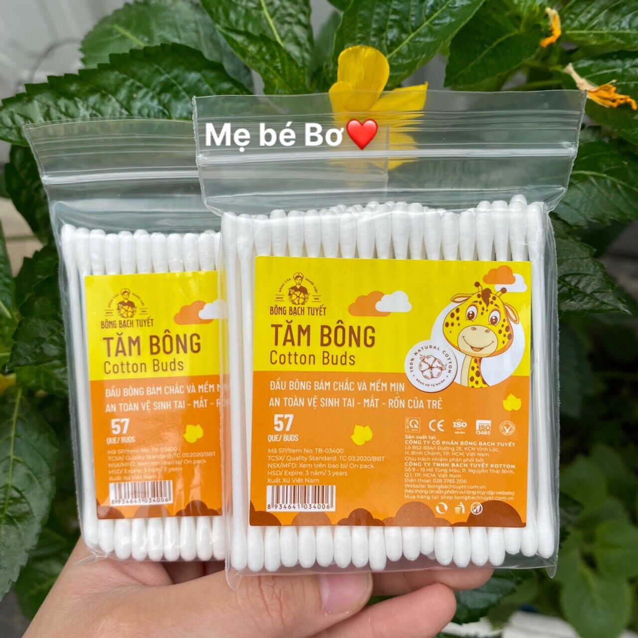 Tăm bông, Bông ráy tai Merigo Bạch Tuyết cho bé