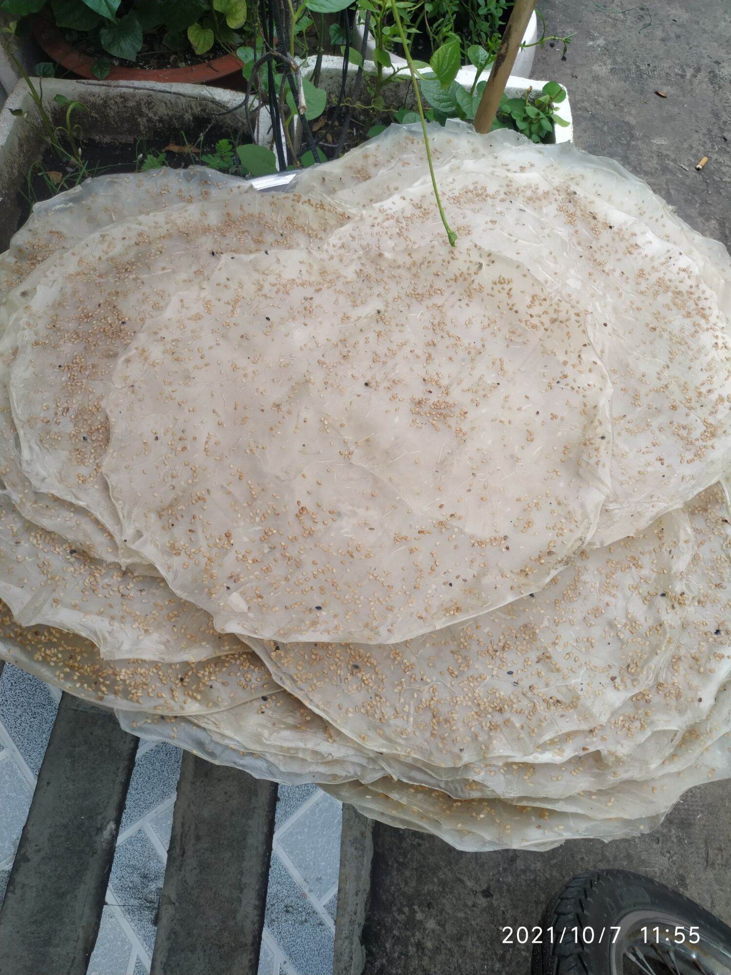 COMBO 10 BÁNH TRÁNG SỐNG QUẢNG NGÃI