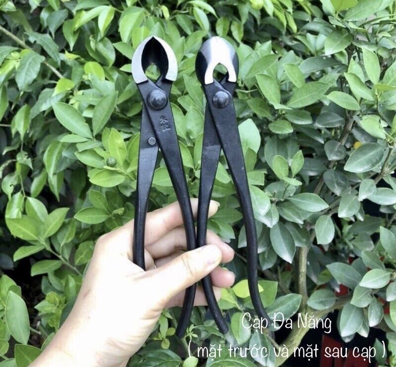 Cạp hai chức năng dụng cụ chăm sóc bon sai cây cảnh