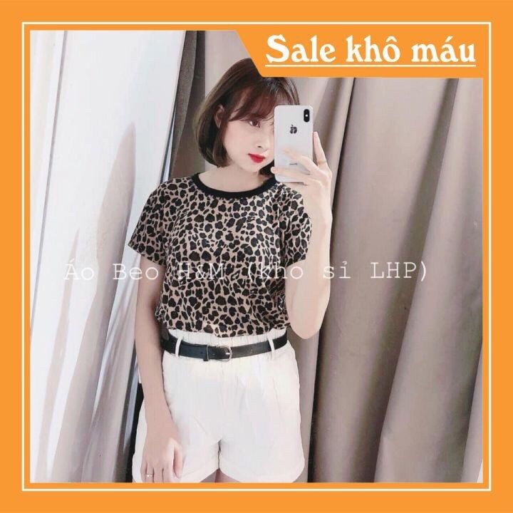 Áo phông báo chất thun cotton lạnh