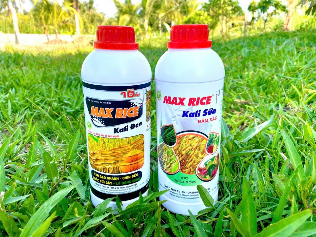 MAX RICE - KALI SỮA 1 lít - Phân bón NNV