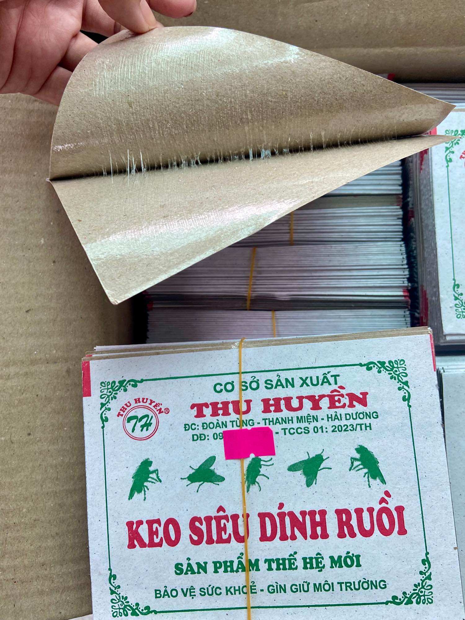 Keo Dính Ruồi - Bó 50 Miếng