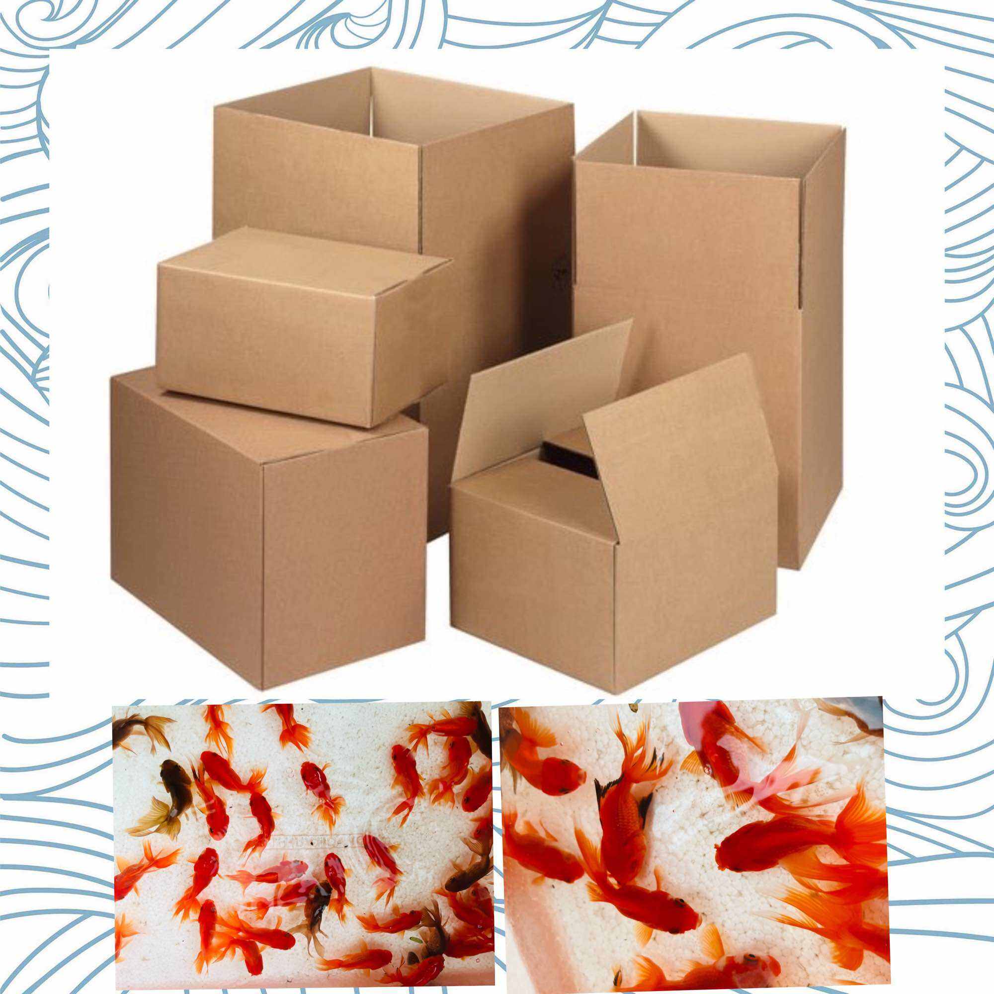 THÙNG CARTON ĐÓNG BA ĐUÔI ĐẦU LÂN SIZE 2N