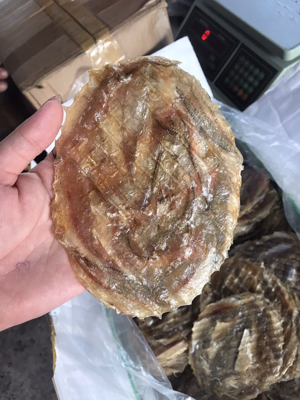 1kg cá bò tròn như hình cực ngon