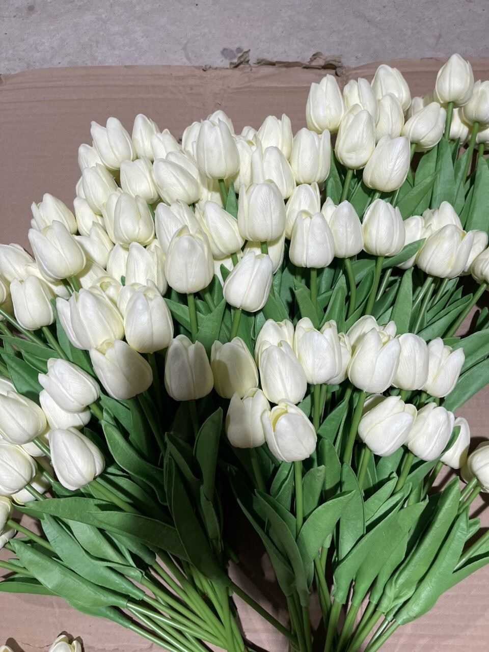 Hoa tulip cao su